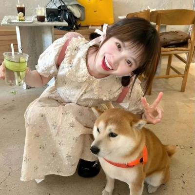 南方小羊牧场